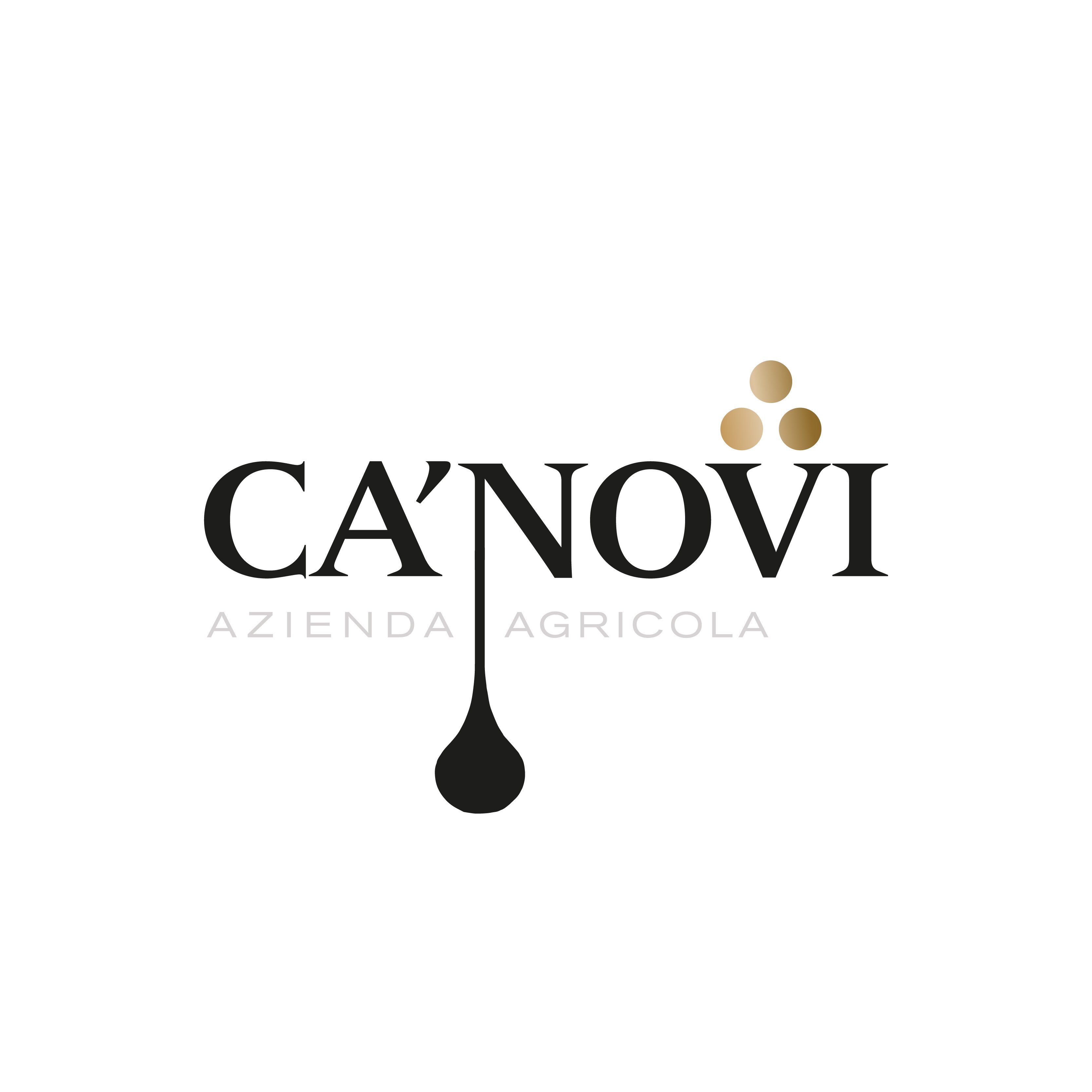 Logo Ca' Novi